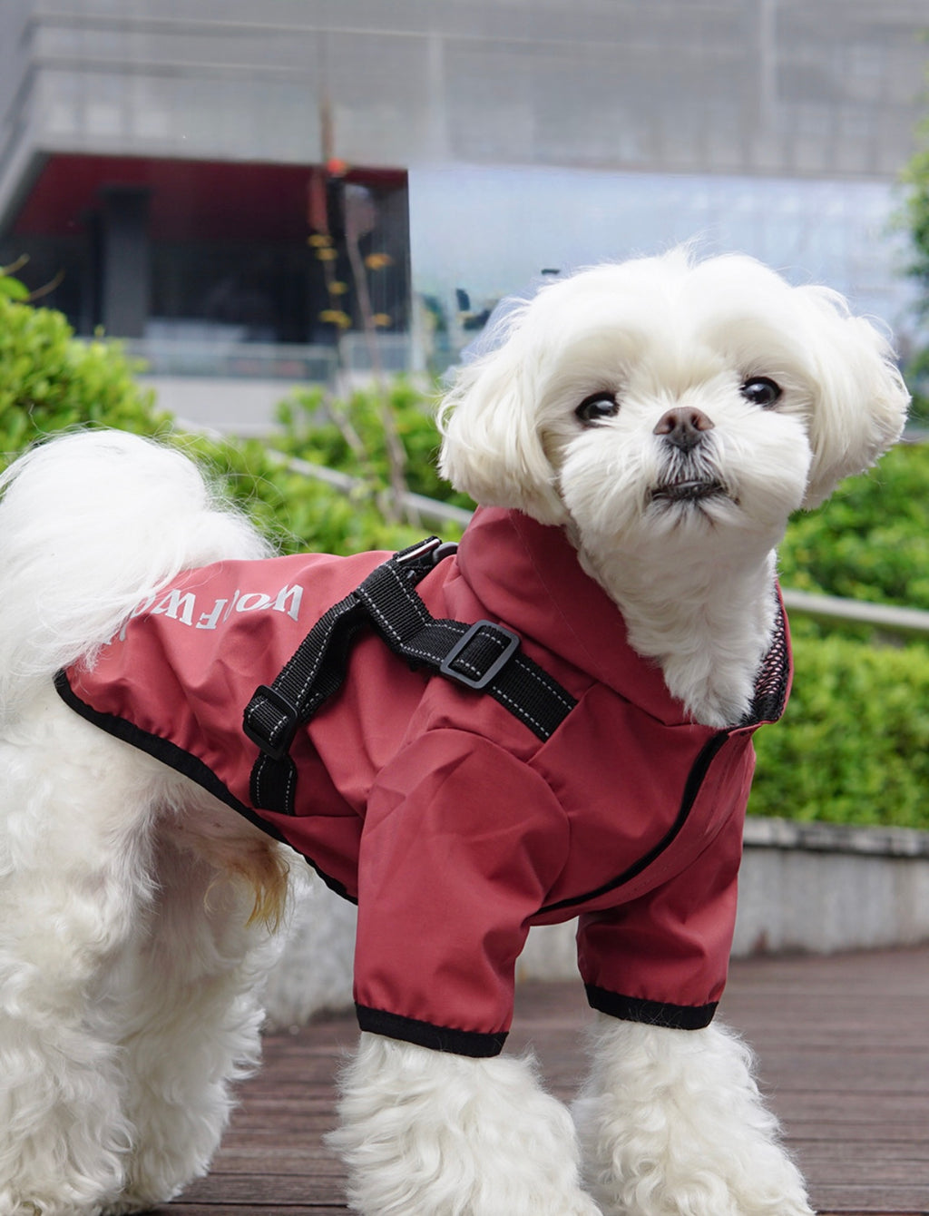 Outdoor Reflective
Waterproof Raincoat with Integrated Harness for
Small Dogs