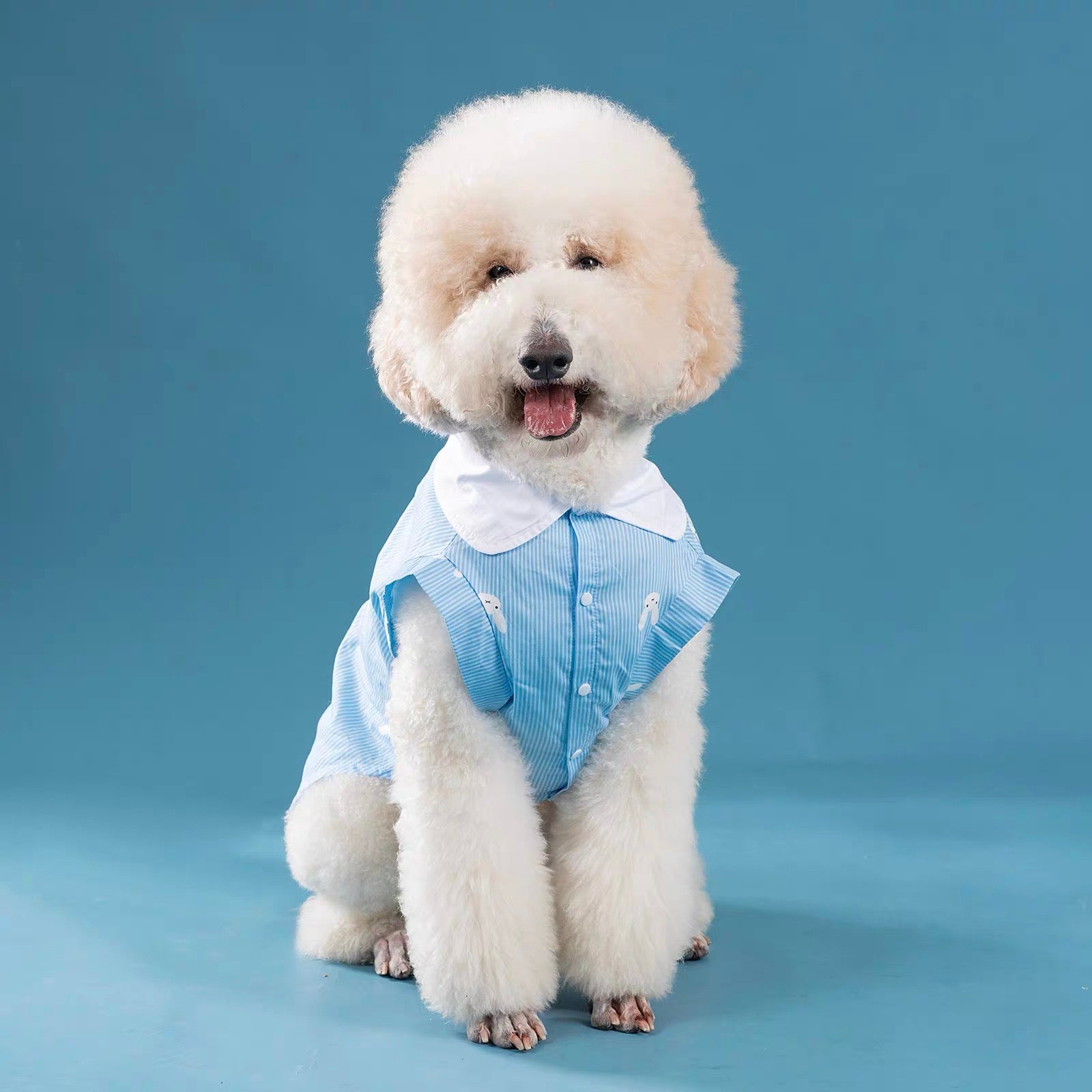 Cute Sleeveless Dog Shirt
- Lightweight & Breathable
Pet Clothing for Small, Medium, and Large Dogs