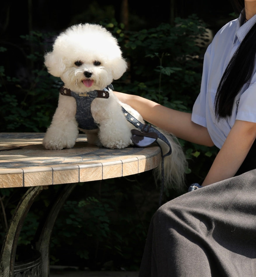 Lightweight Anti-Escape
Pet Harness and Leash Set
- H-Style Vest Design for Dogs and Cats