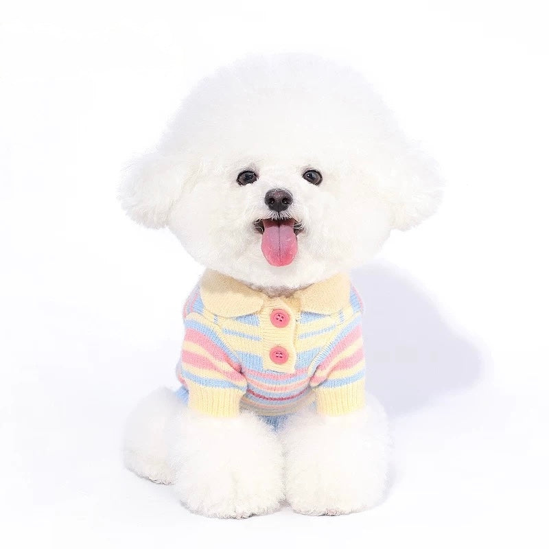 Macaron Stripe Sweater