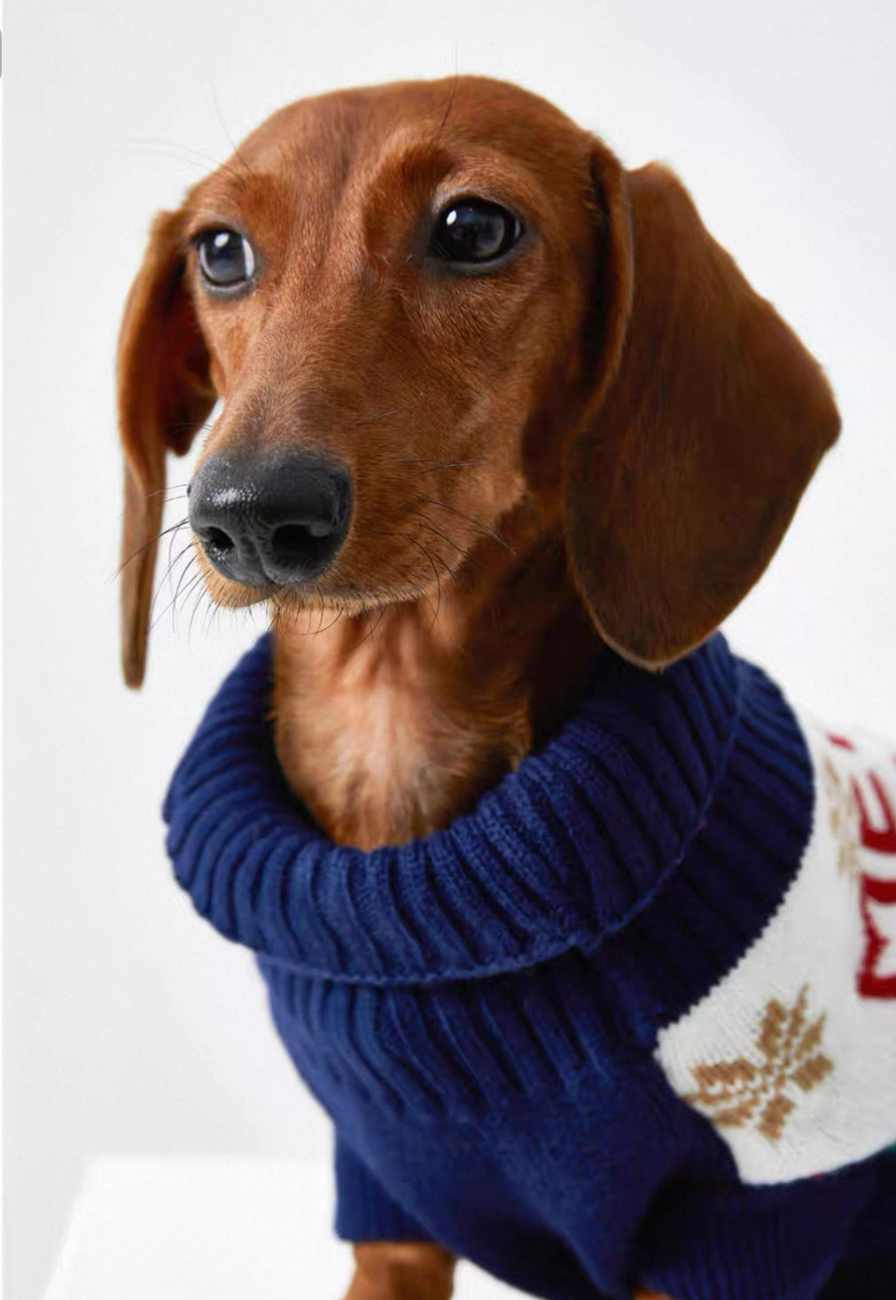 Pet Christmas Sweater for Small and Medium Dogs