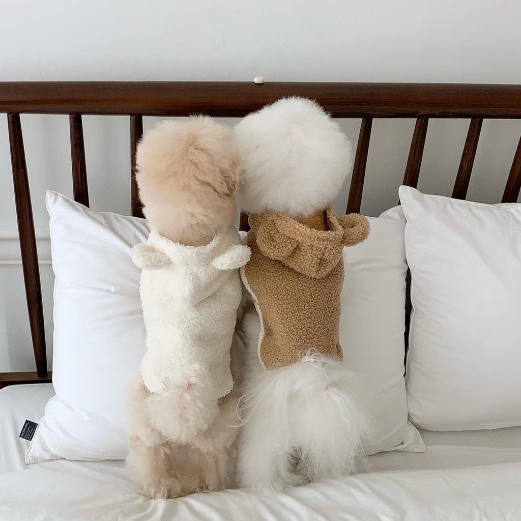 Warm Winter Cape for Small and Medium Dogs - Thickened Pet Cloak Shawl