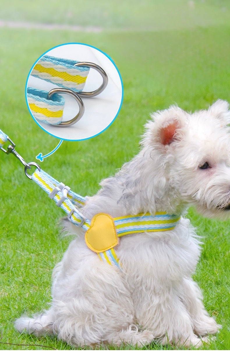 Anti - Pull Lightweight Y - Shaped Dog Harness: Summer Dopamine Vibes
