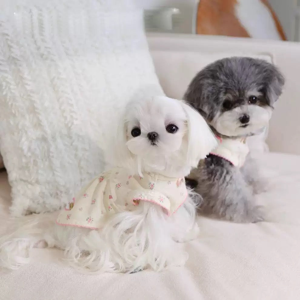 Sweet & Breezy Pet Vest Dress - Perfect for Small
Dogs & Cats