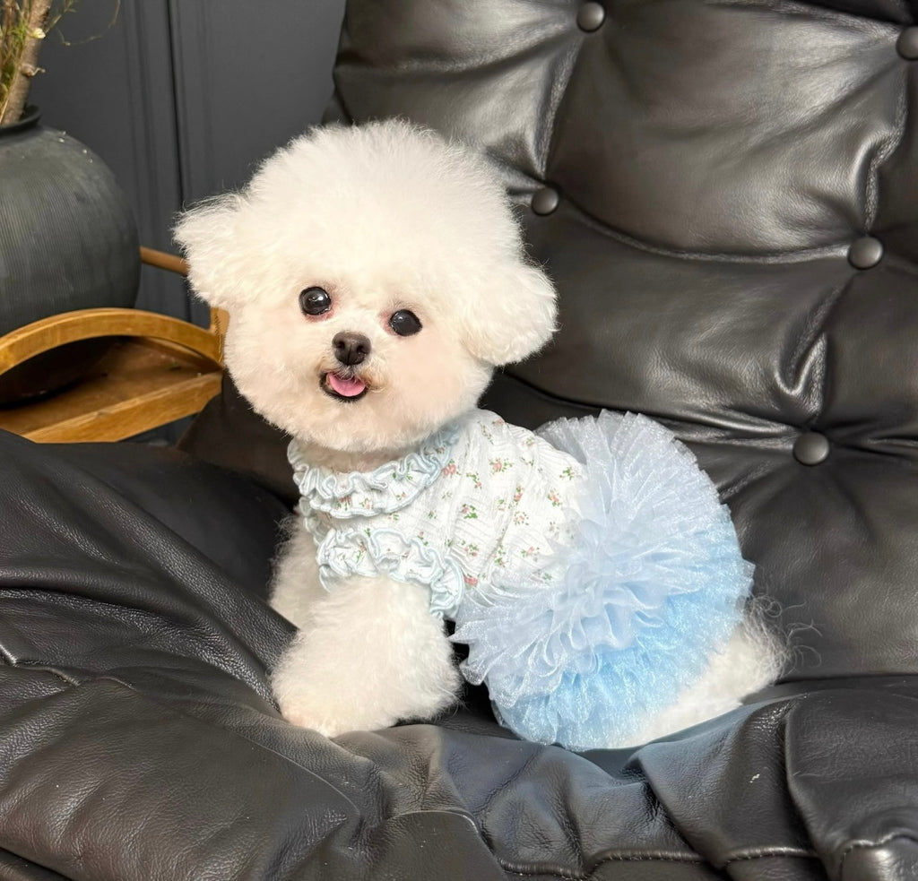 Ballet Lace Tutu for Pets - Floral & Fluffy(small breed dog)