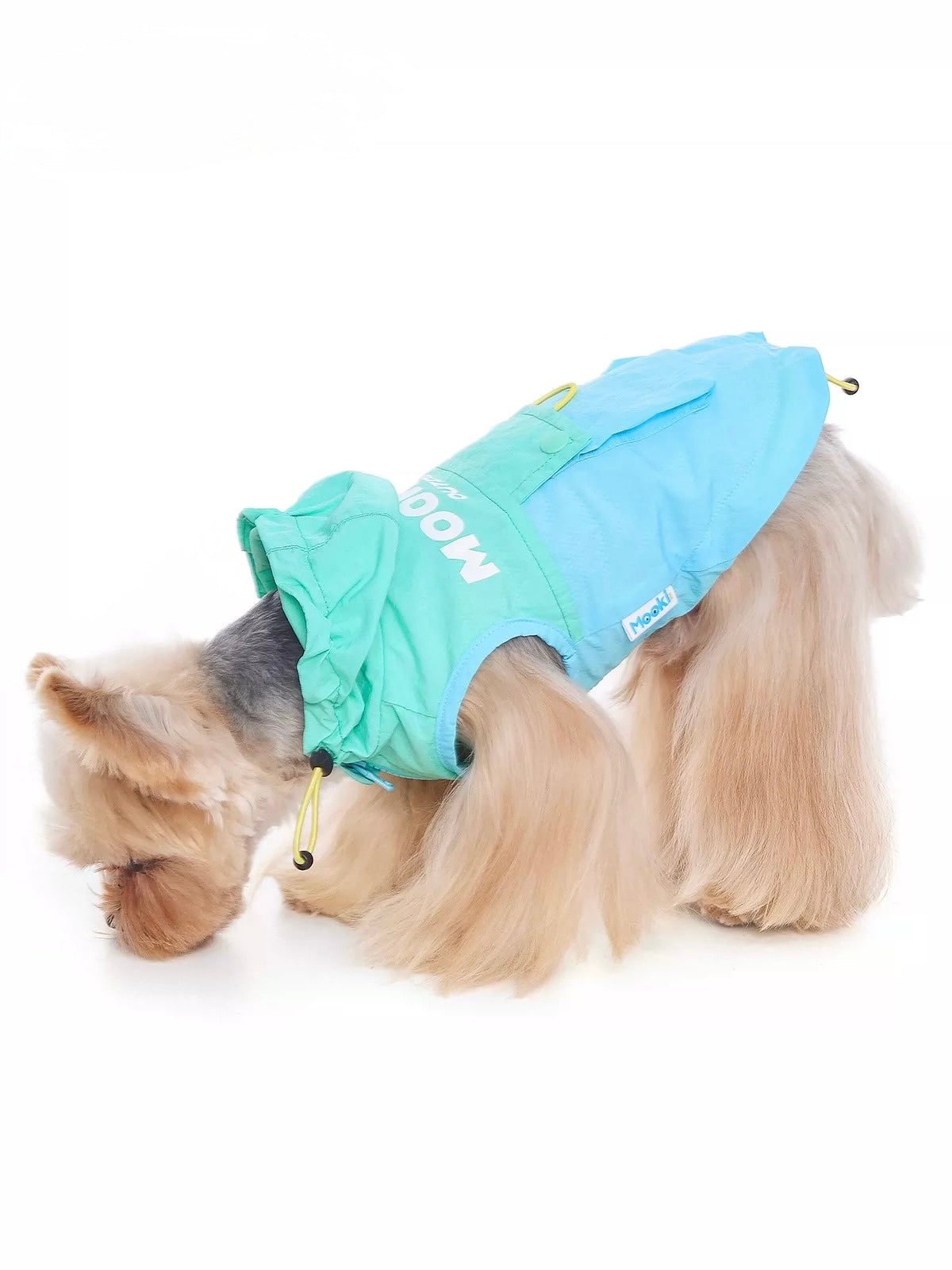 Blueberry Mint Coat