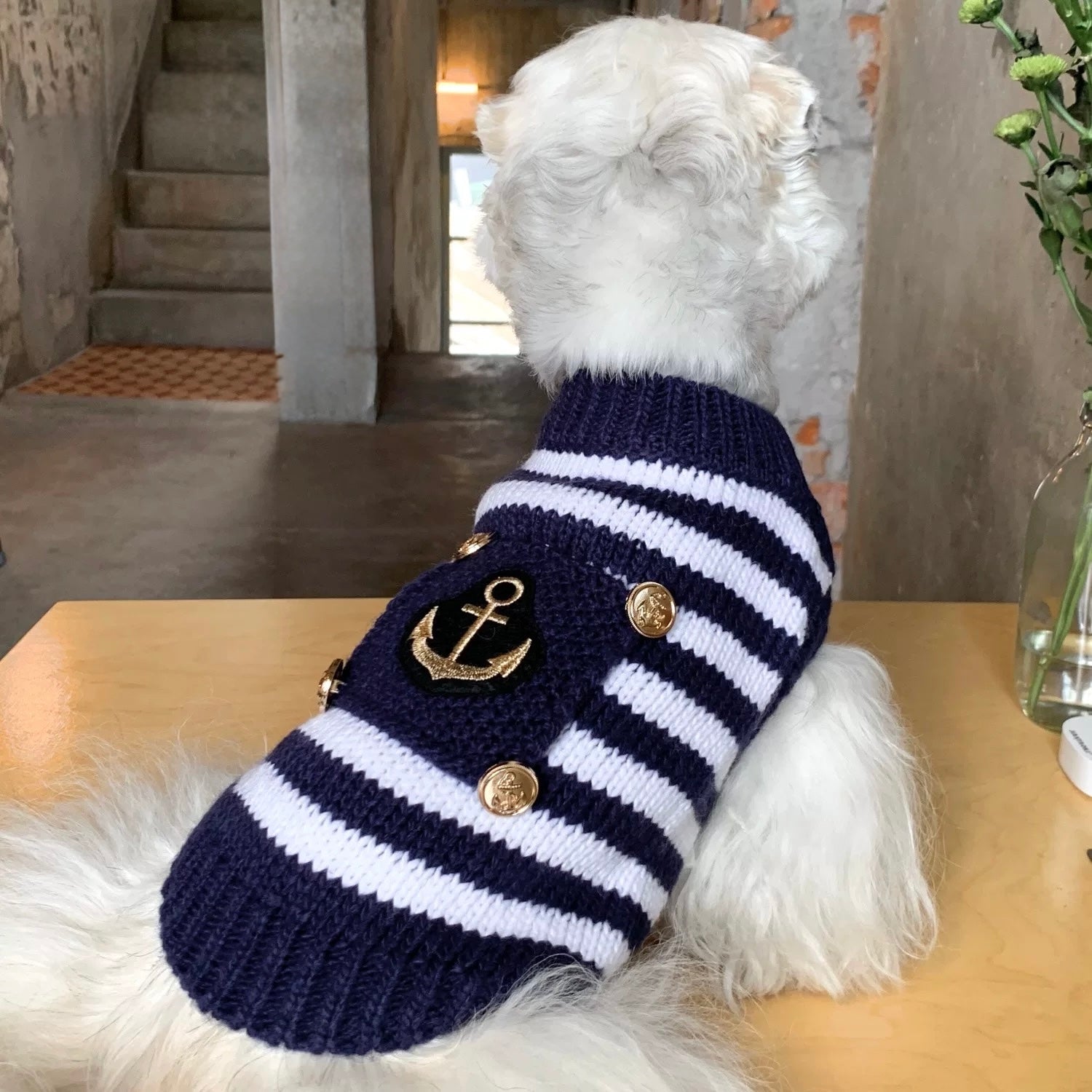 Navy striped sweater suitable for small dogs