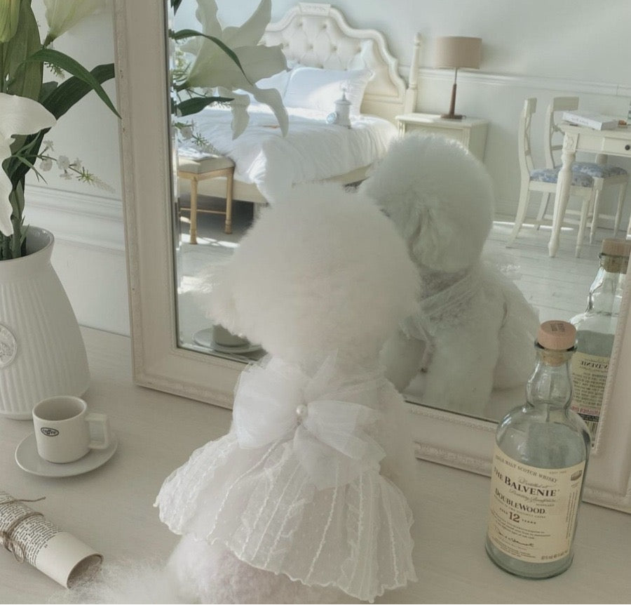 Small Dog Wedding Dress