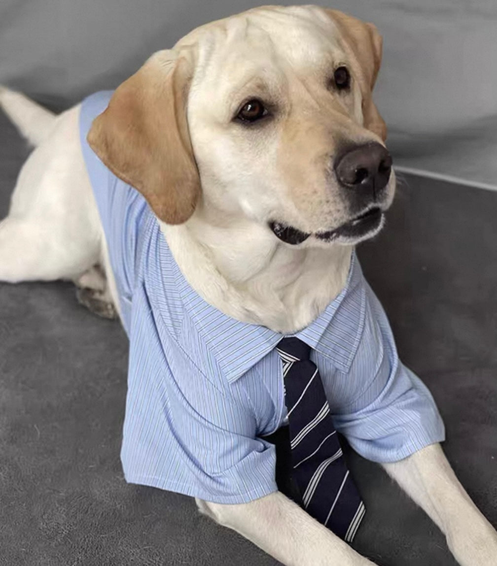 Preppy Style Large Dog
Shirt with Tie - Anti-Shedding Design, Perfect for Medium to Large Breeds
