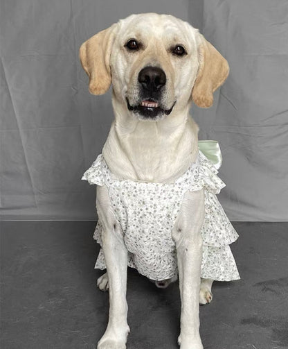 Breathable Princess
Dress for Large Dogs - Featuring a Big Bow and Elegant Skirt Design