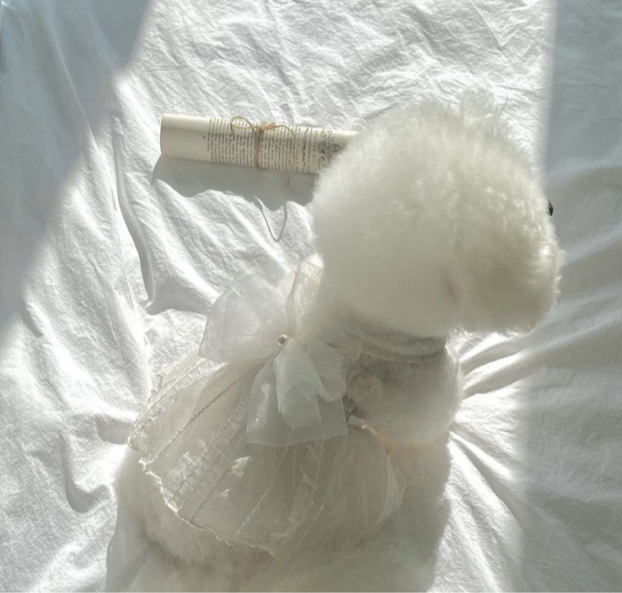 Small Dog Wedding Dress