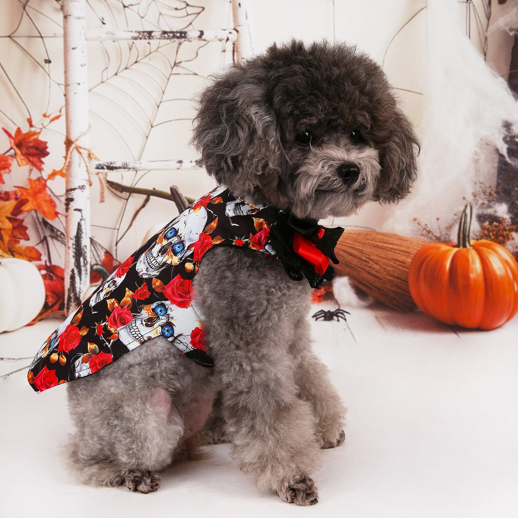 Halloween Pet Shirt - Gold Foil Skull Print on Organza
T-Shirt