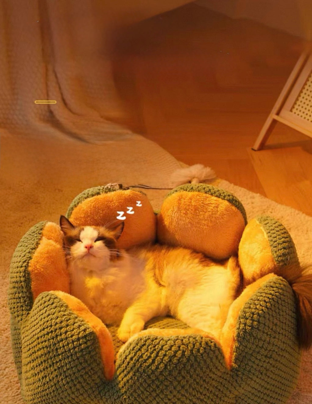 Blossom Pet Bed