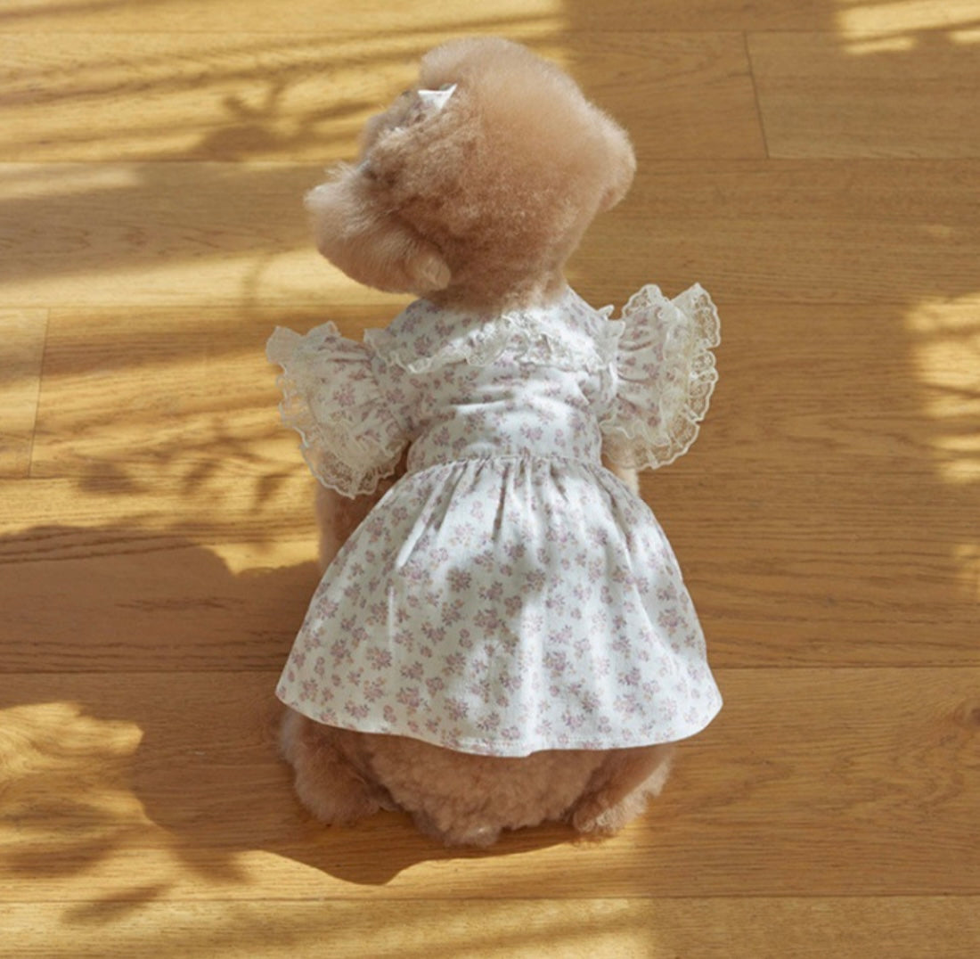 Corduroy Dog Dress - White Floral Pet Outfit for Small Dogs