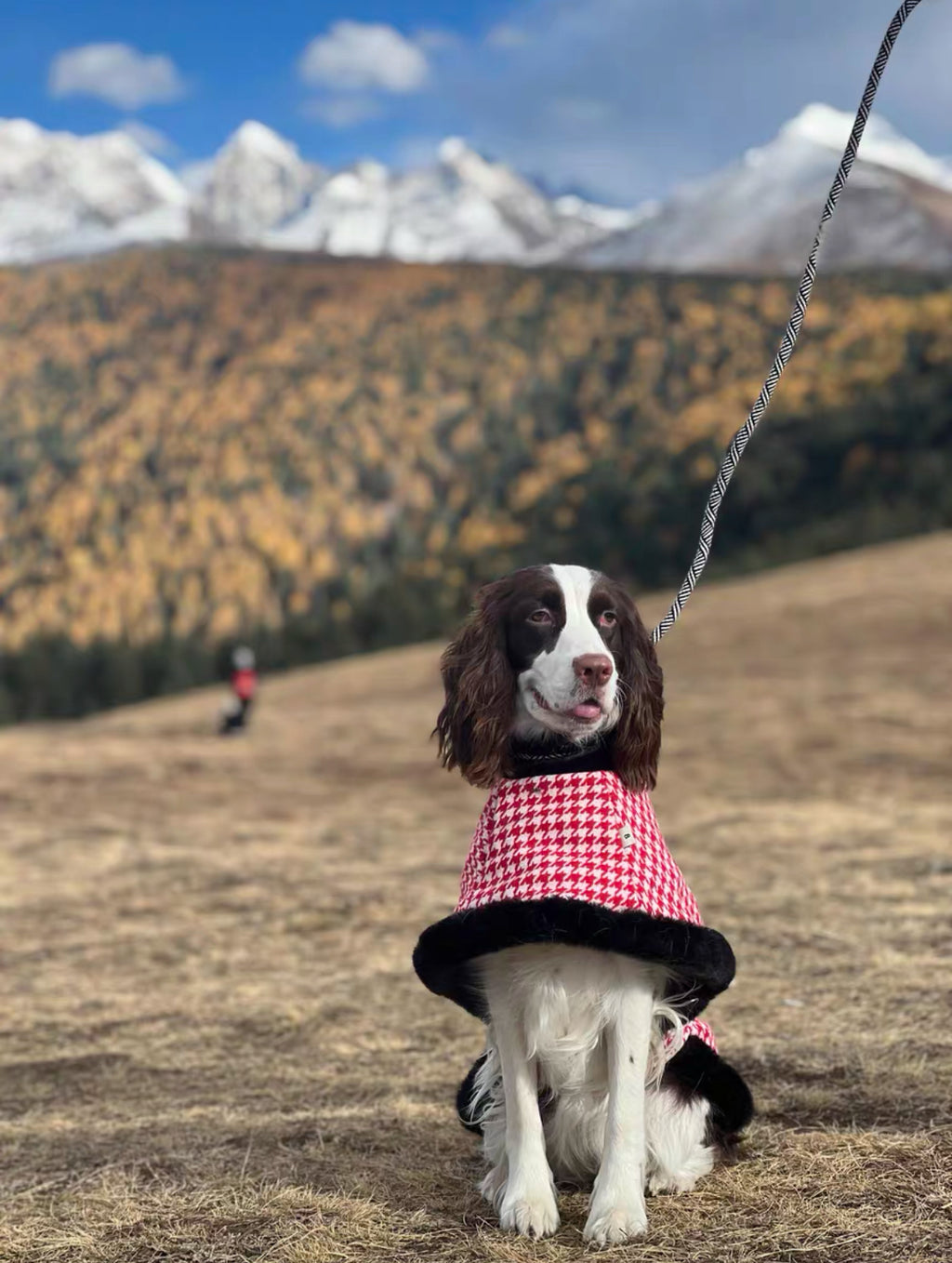 Luxury Plush-Trimmed Houndstooth Dog Cape