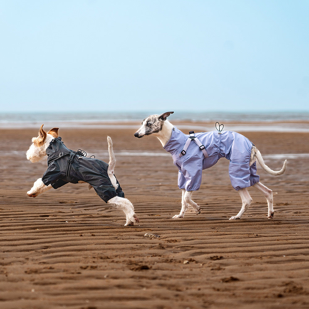 All-Weather Paws · 4-Legged Harness Integrated Pet Trendy Raincoat