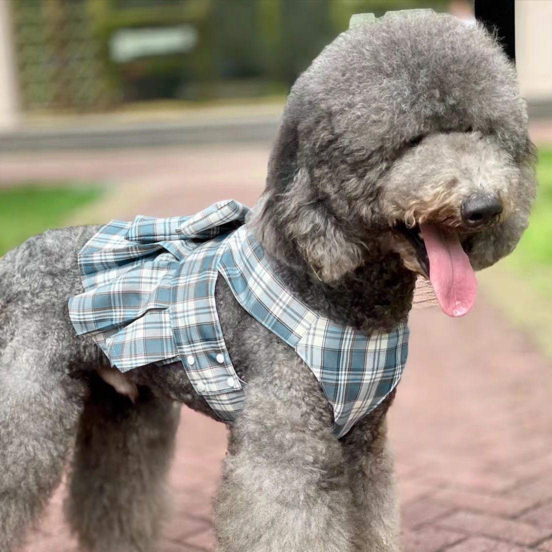 Plaid Pleated Dog Dress with Bow & Leash Buckle