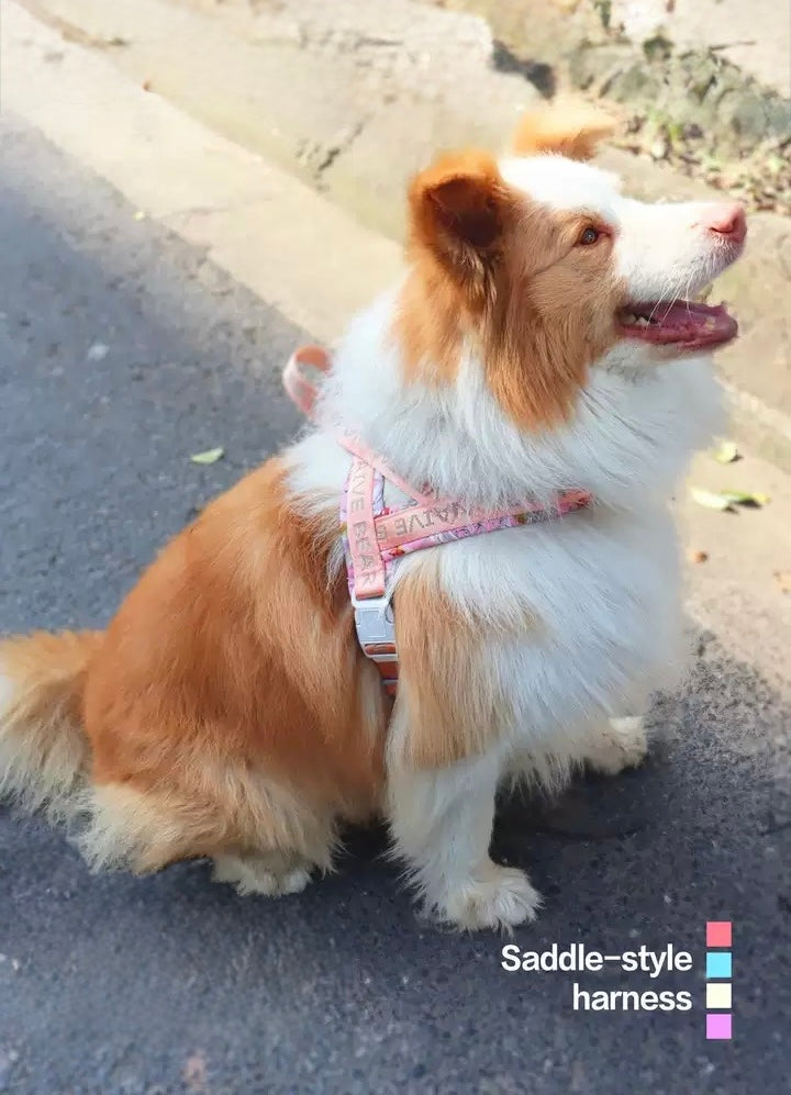 Pet Dog Floral Design Harness