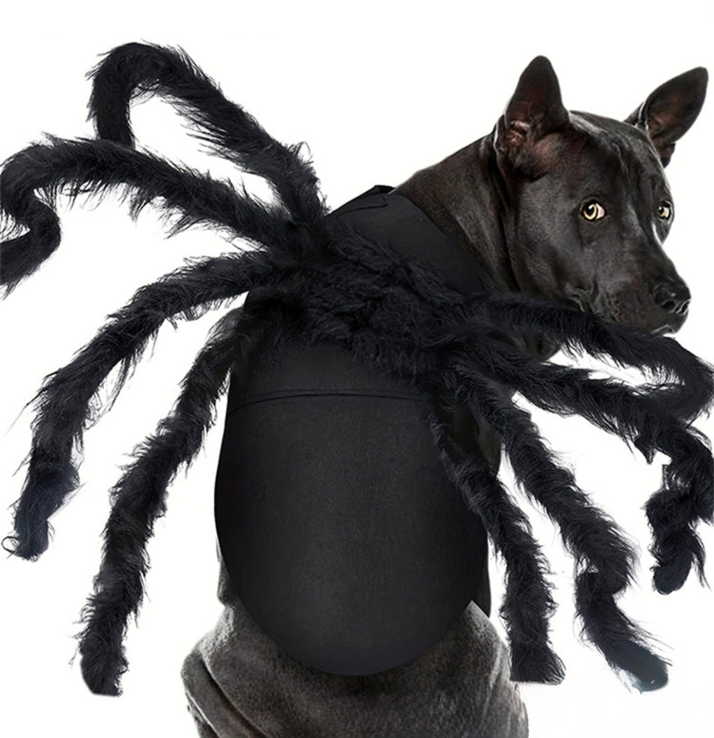 Pet Halloween Spider
Outfit - Soft, Silly & Size-Friendly