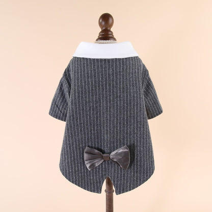 Dog suit, groom's formal attire clothing