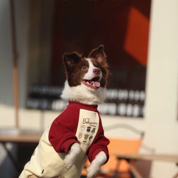 Red Cute Sweatshirt
for Medium to Large Dogs - Cozy, Stylish & Adorably
Comfy