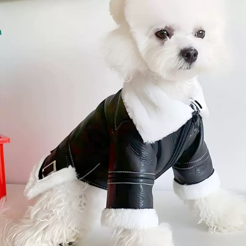Fleece-Lined Faux Leather
Dog Jacket - All-in-One Winter Coat for Small
Breeds