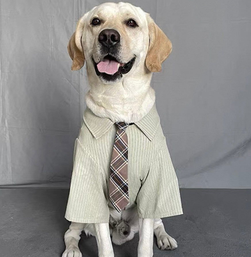 Preppy Style Large Dog
Shirt with Tie - Anti-Shedding Design, Perfect for Medium to Large Breeds
