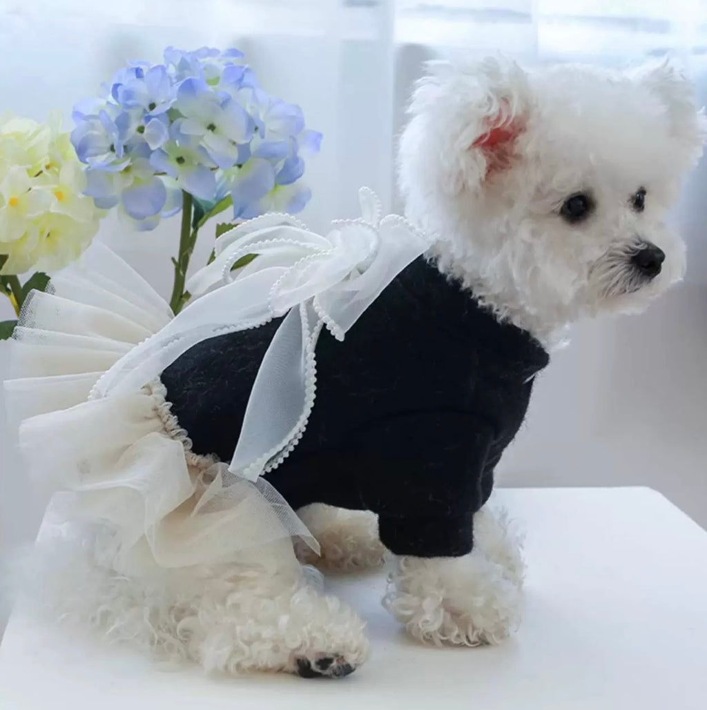 Princess Dress Autumn/ Winter Pet Clothing - Small
Dog Bowknot Princess
Dress