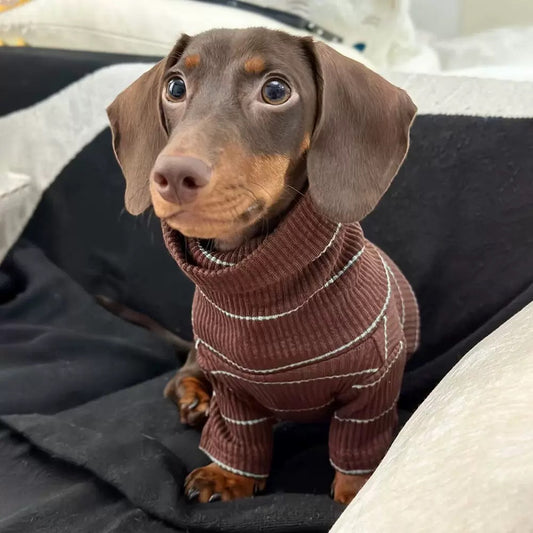 Warm & Snuggly Pet
Apparel - Autumn/ Winter Padded Dog Clothes for Small Dogs