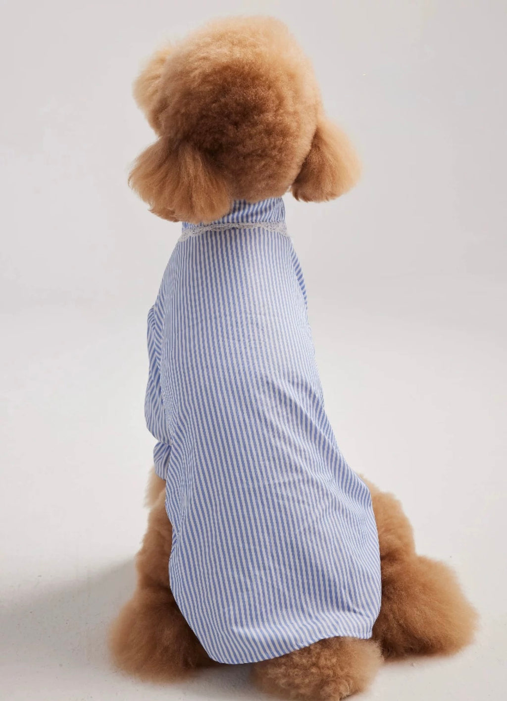 Pleated Puff Sleeve
Shirt for Large Dogs - Elegant Pet Apparel