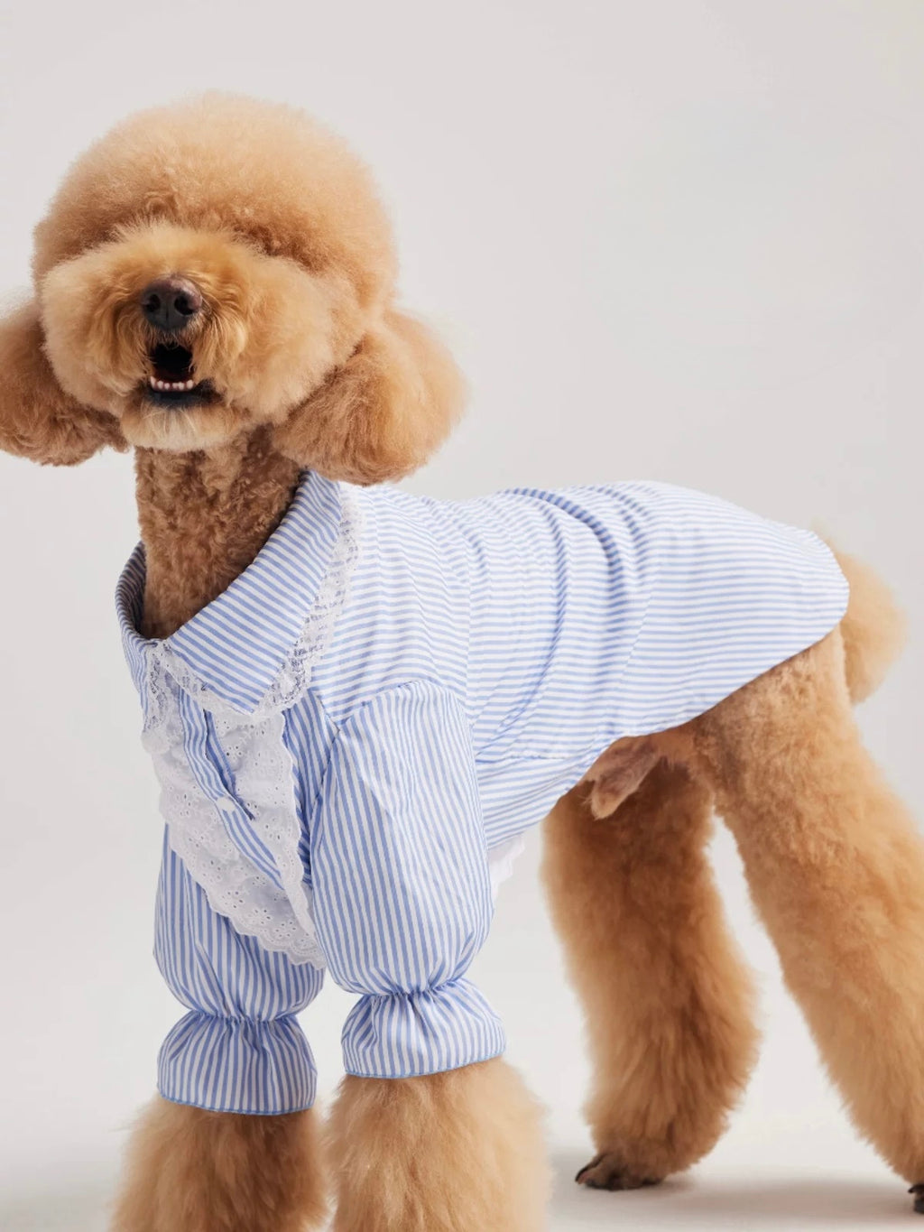 Pleated Puff Sleeve
Shirt for Large Dogs - Elegant Pet Apparel