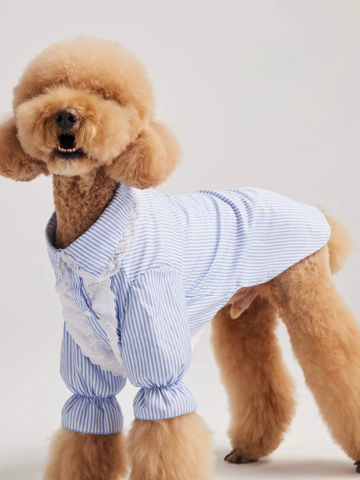 Pleated Puff Sleeve
Shirt for Large Dogs - Elegant Pet Apparel