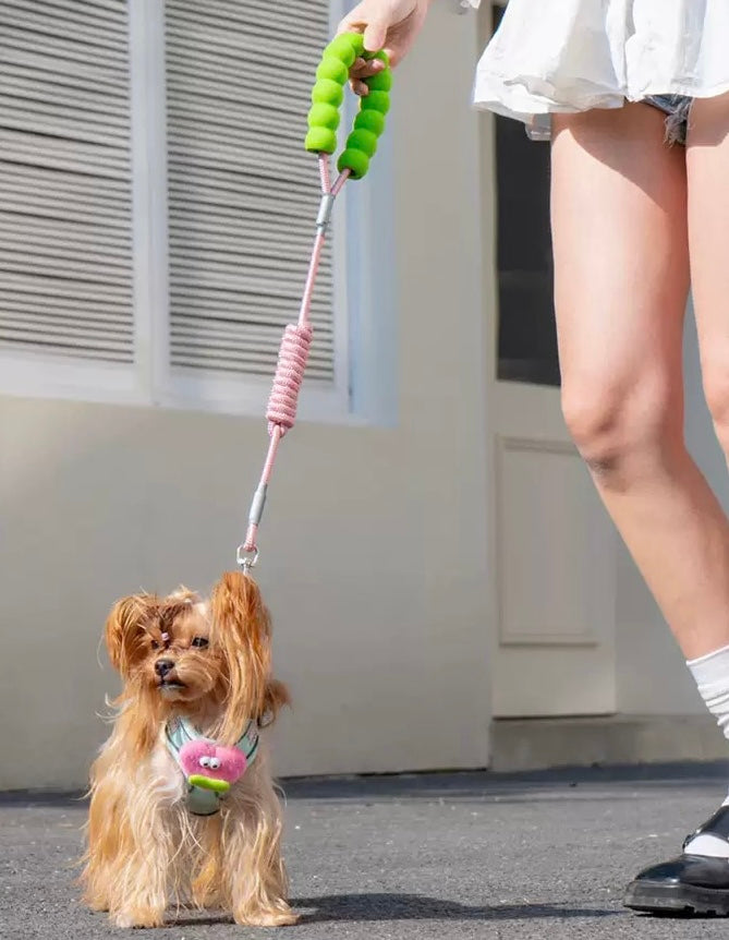 Adjustable Cartoon Dog
Harness Leash Set - Vest Style, Anti-Escape Design for Walking Pets