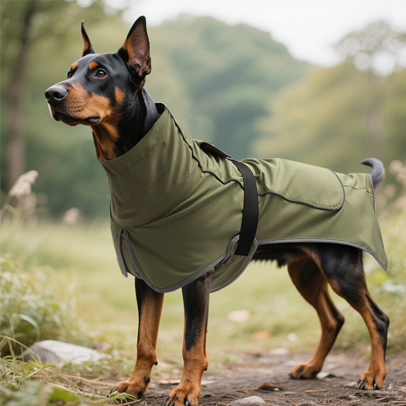 Waterproof Outdoor
Raincoat for Large Dogs - AIl-Weather Pet Jacket