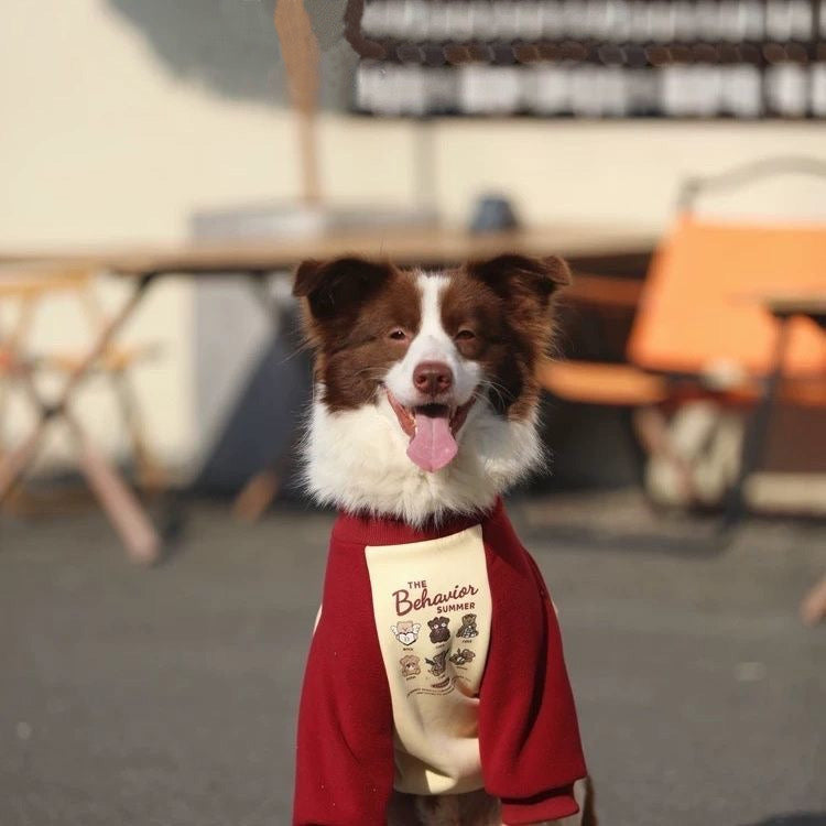Red Cute Sweatshirt
for Medium to Large Dogs - Cozy, Stylish & Adorably
Comfy