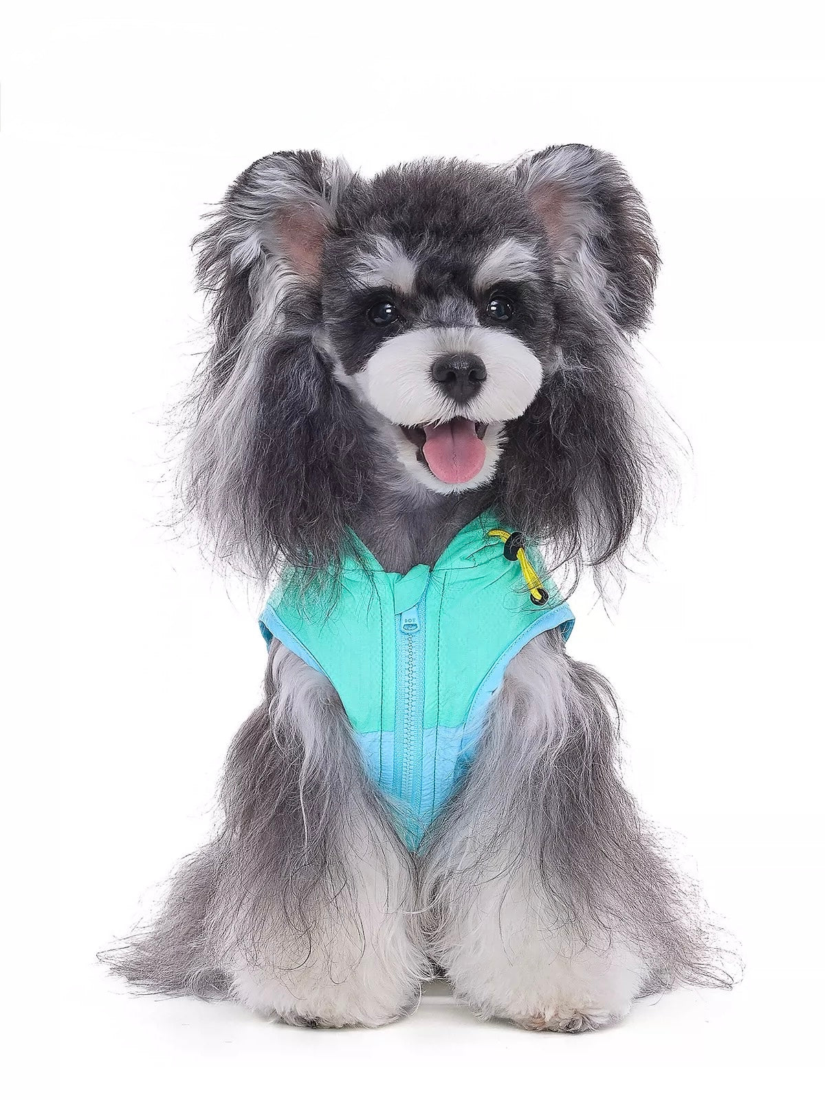 Blueberry Mint Coat