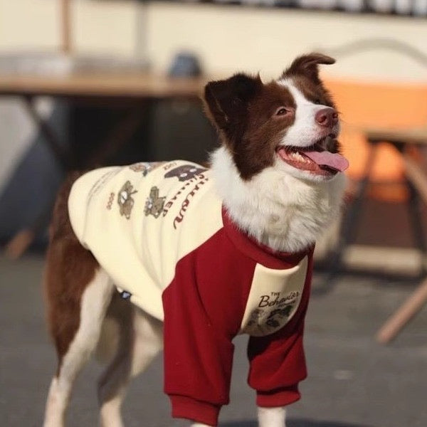 Red Cute Sweatshirt
for Medium to Large Dogs - Cozy, Stylish & Adorably
Comfy
