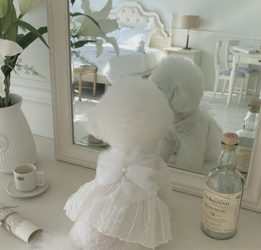 Small Dog Wedding Dress