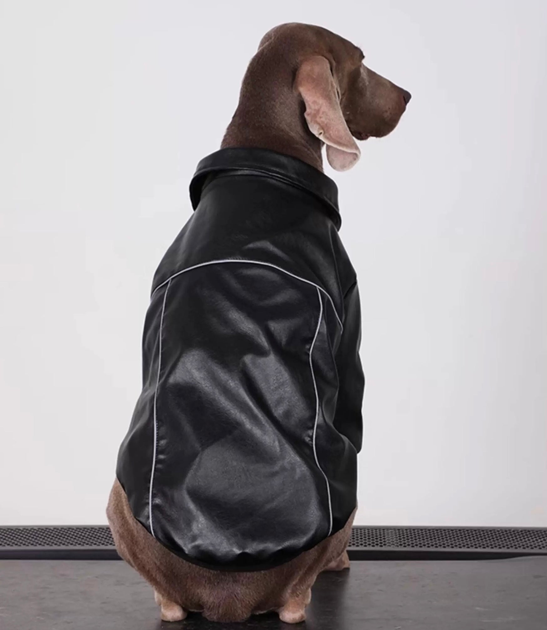 Black PU Leather
Windproof Pet Jacket - Designed for Small, Medium, and Large Dogs