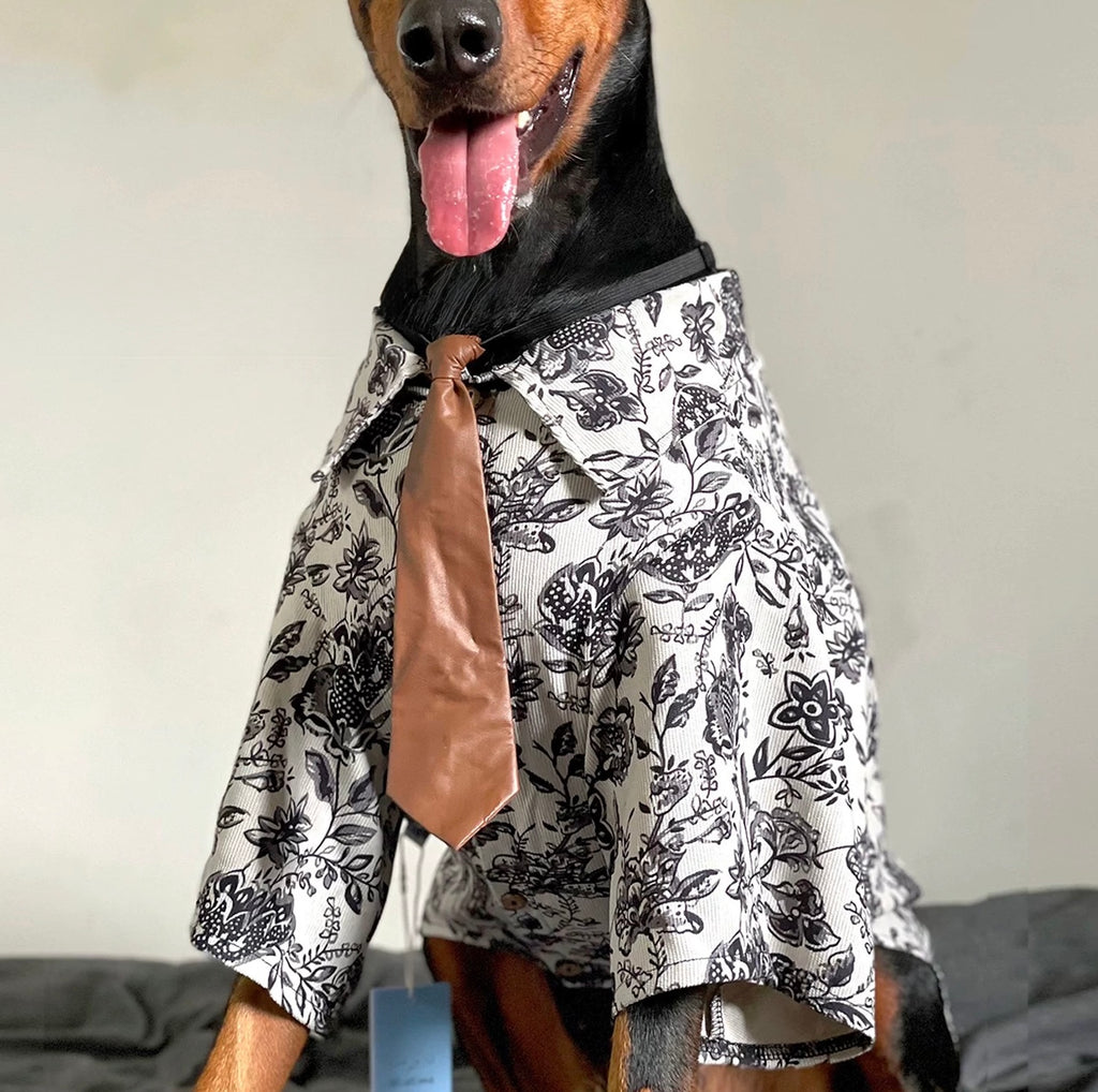 A corduroy shirt paired with a tie suits large dogs perfectly