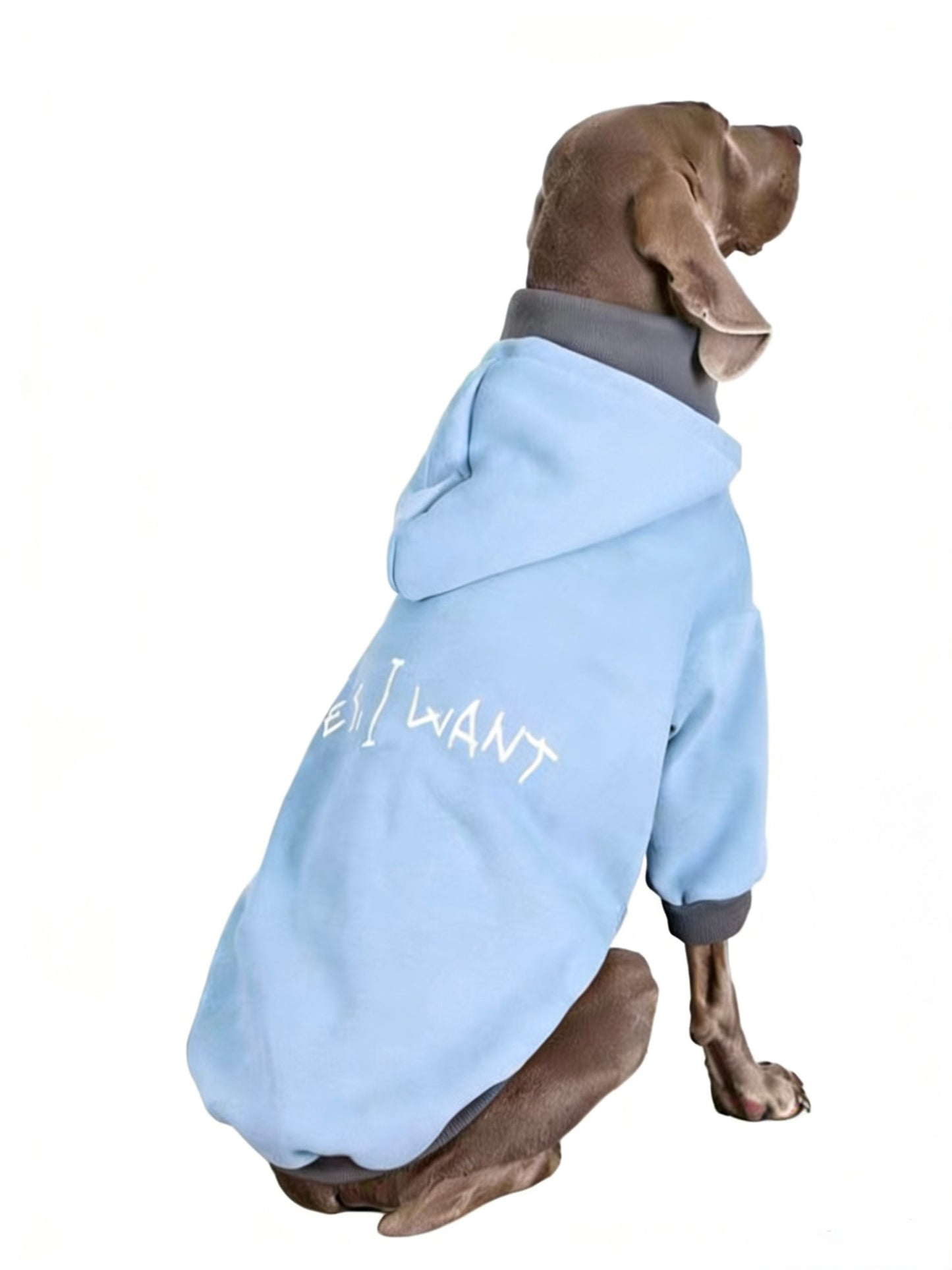 Iceblue Shield Hoodie