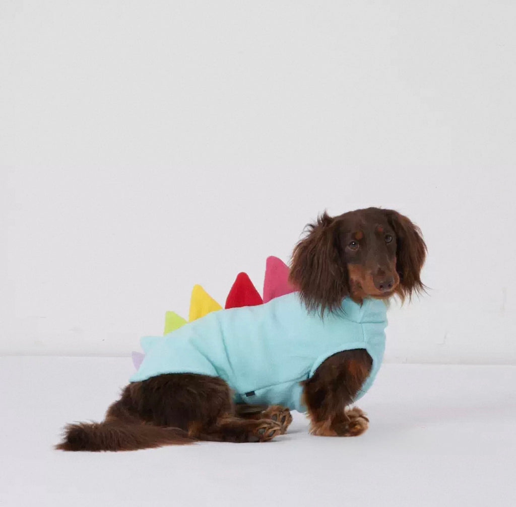 Dinosaur Pet Vest for Dachshunds, Whippets - Autumn Winter Warm Dog Clothes