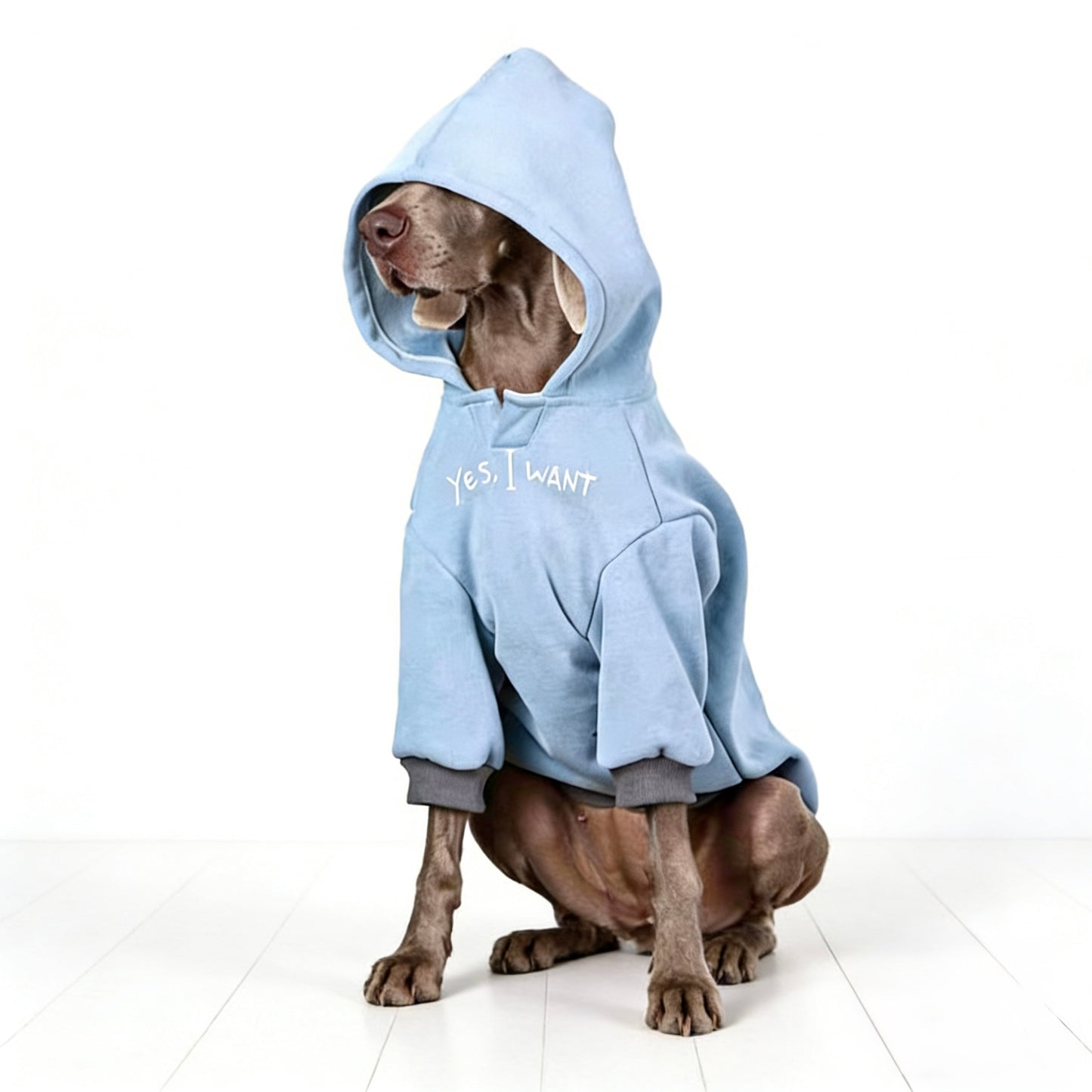 Iceblue Shield Hoodie