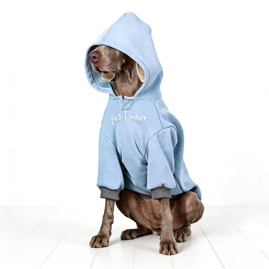 Iceblue Shield Hoodie