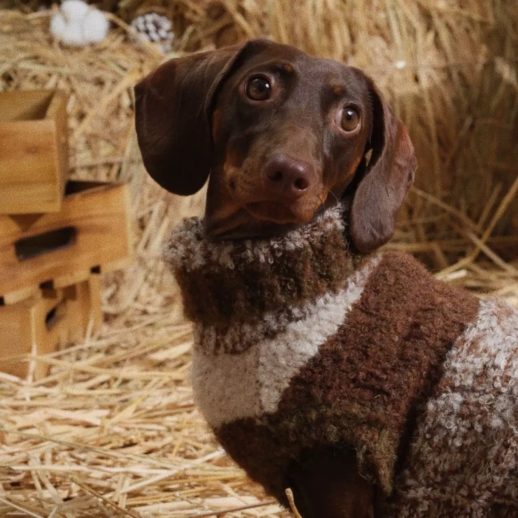 Cold Weather Pet Sweater Soft and Comfortable Winter Wear