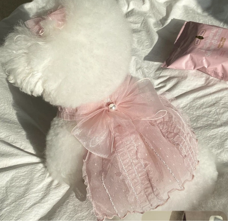 Small Dog Wedding Dress
