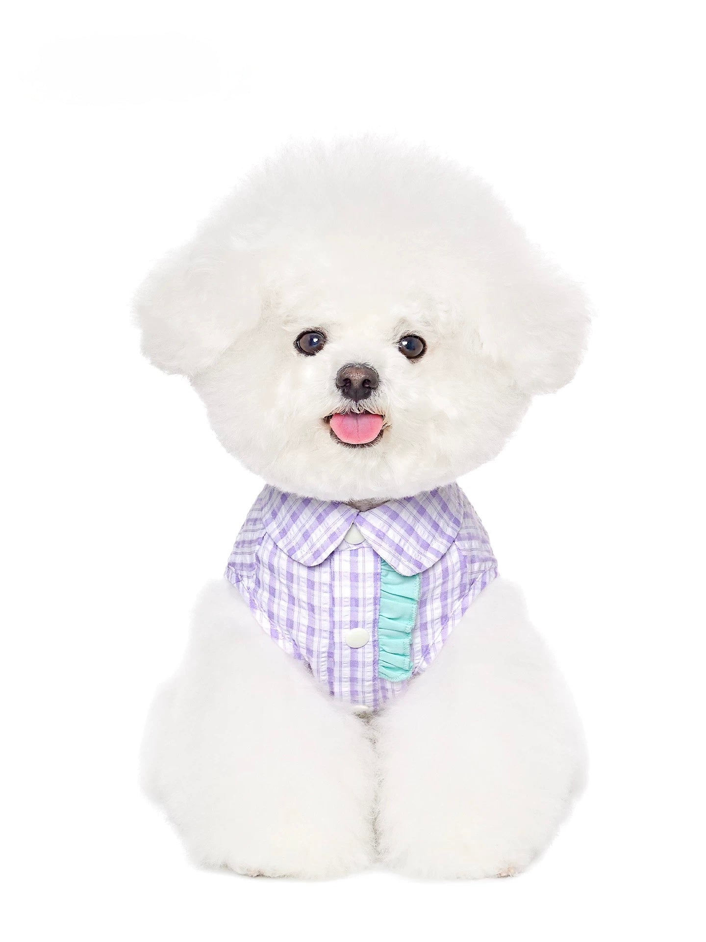 Berry Ribbon Shirt