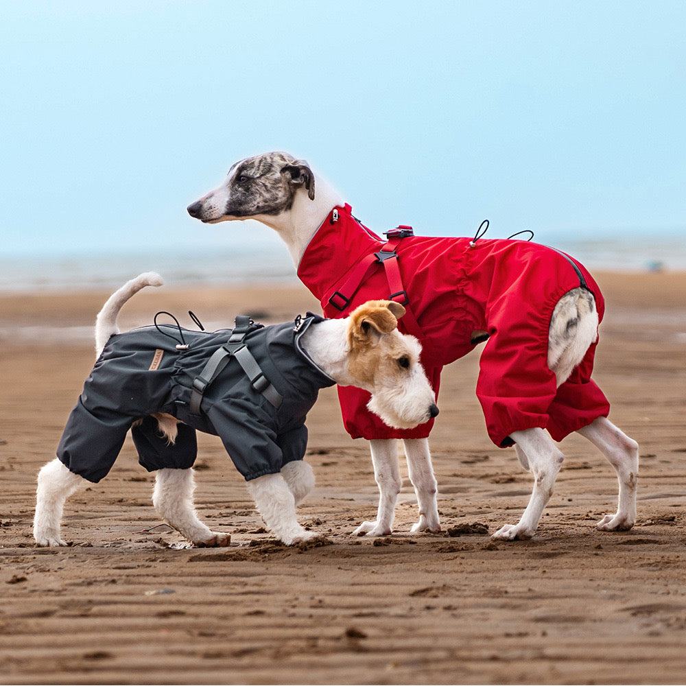 All-Weather Paws · 4-Legged Harness Integrated Pet Trendy Raincoat