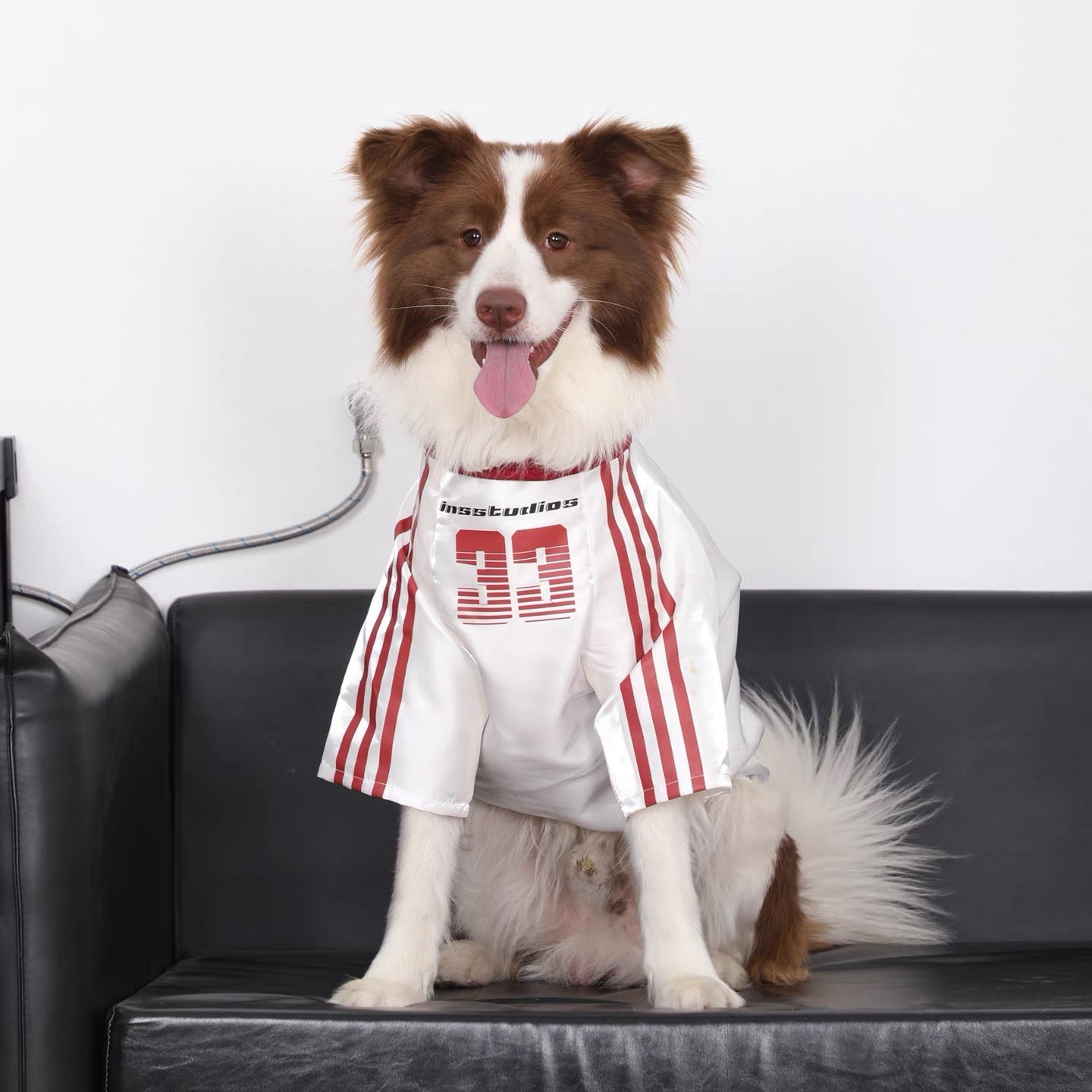 Large Dog Anti-Shedding
Reflective Sports Jersey