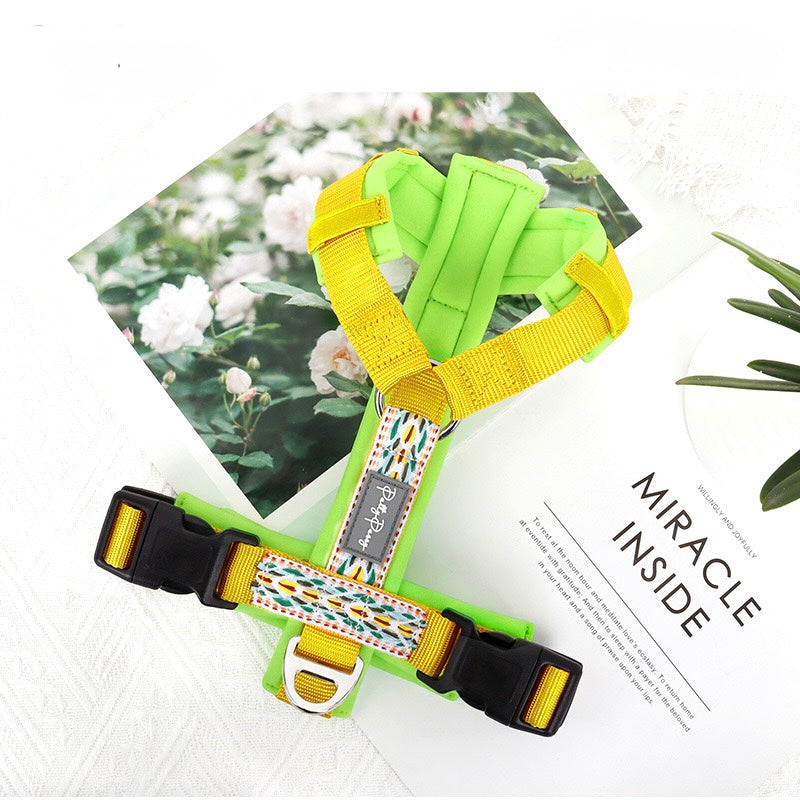 Skyline Pup Harness(No Leashes Include)